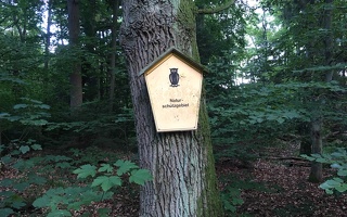 Naturschutzgebiet im Wald