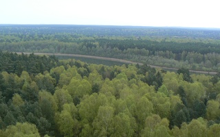 Luftbild Müritz-Nationalpark 