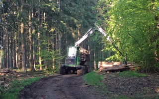 Holzernteabfuhr bei Baumgarten
