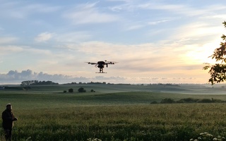 Drohne über Wiese