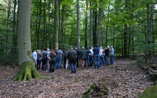 Gruppenführung im Wald